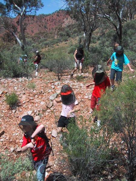 Hiking Day2.jpg  (129.9 Kb)