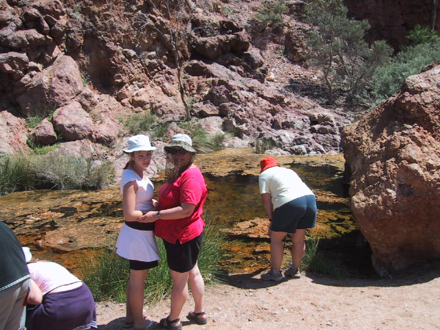 Hot Springs 2.JPG  (182.9 Kb)