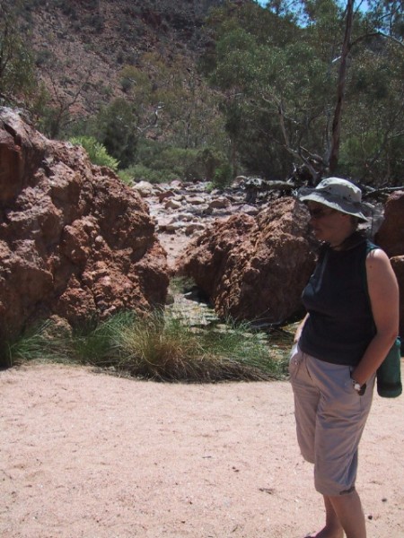 Hot Springs and Hot Ngairie.jpg  (86.1 Kb)