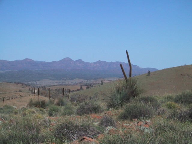 View of the Pound 1.jpg  (65.1 Kb)