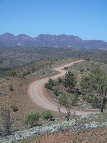 View of the Pound 2.jpg  (75.9 Kb)