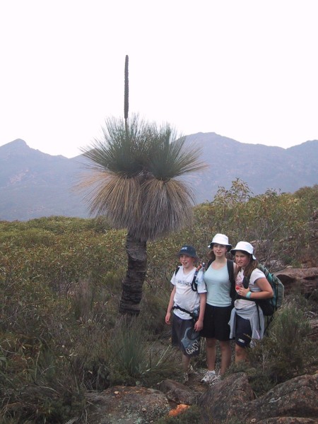 Yakka on St Mary.jpg  (62.9 Kb)